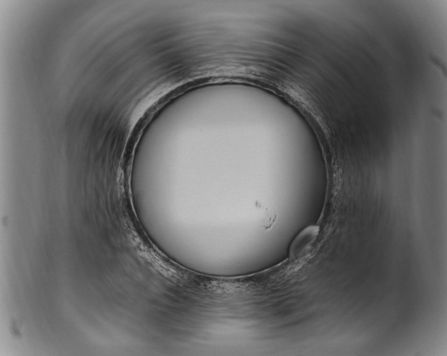 X0000102250928200808081407