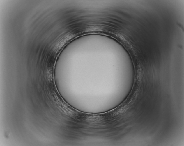 X0000102250929200808081407