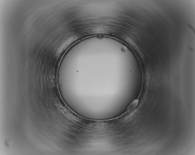 X0000102250930200808081407