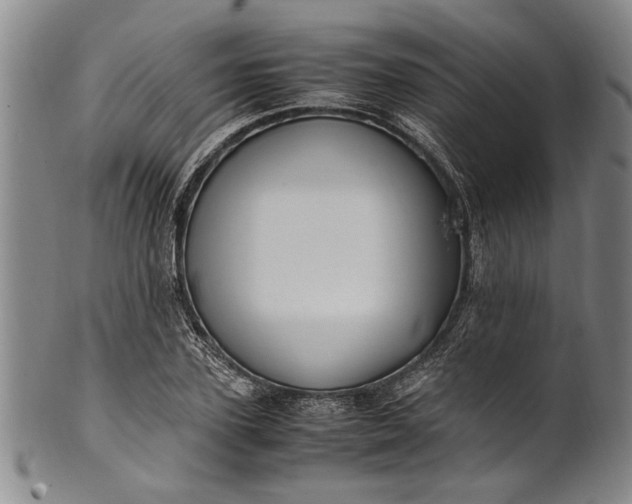 X0000102250931200808081407