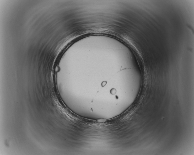 X0000102250932200808081407