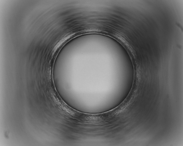 X0000102250933200808081407