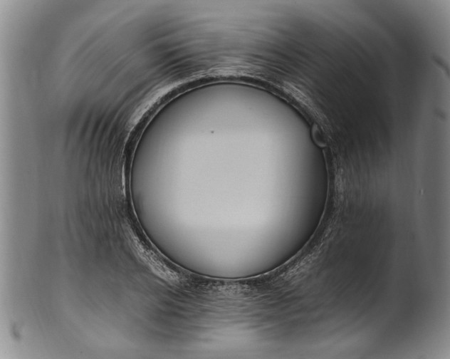 X0000102250934200808081407