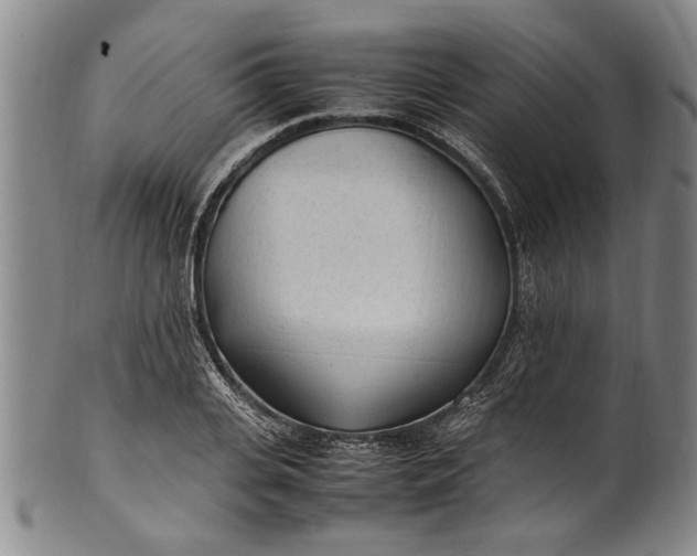 X0000102250935200808081407