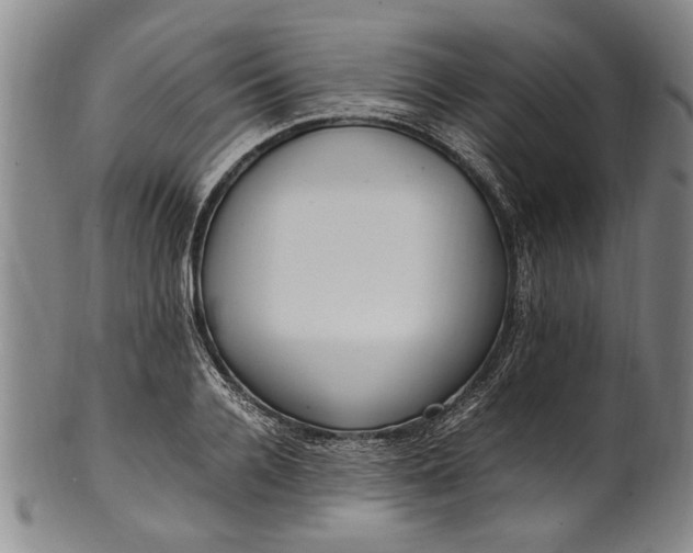 X0000102250936200808081407