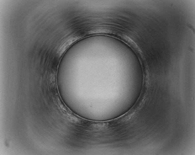 X0000102250937200808081408