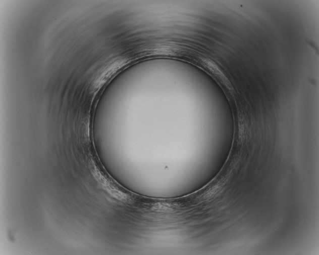 X0000102250938200808081408