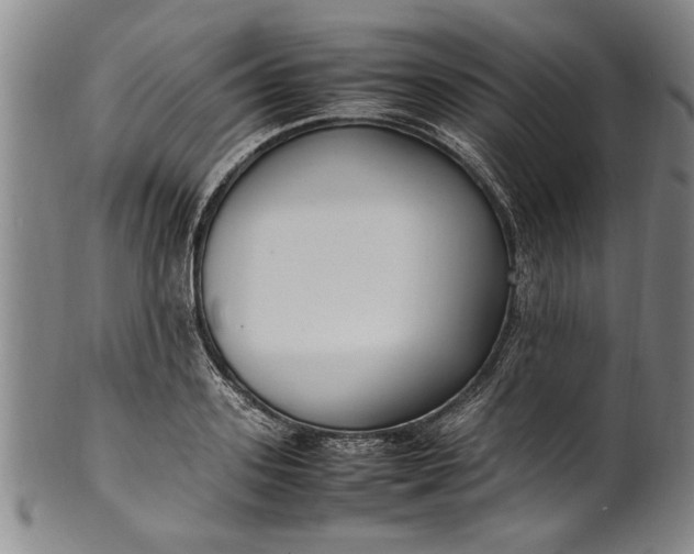 X0000102250939200808081408