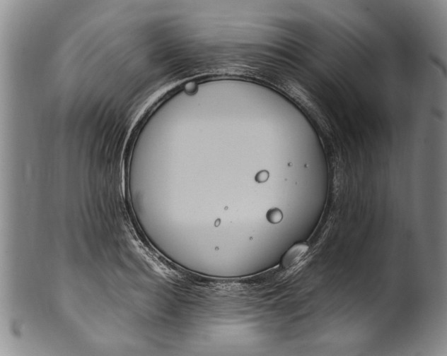 X0000102250940200808081408