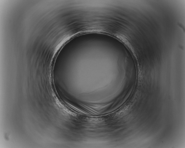 X0000102250941200808081408