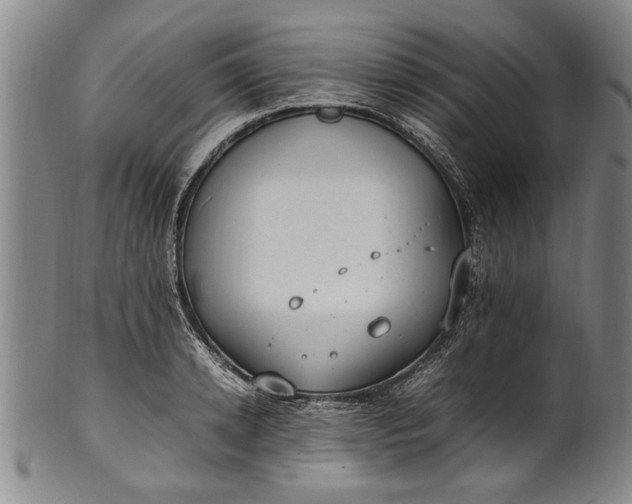 X0000102250942200808081408