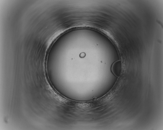 X0000102250943200808081408