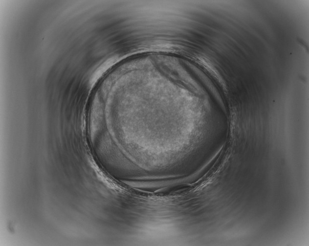 X0000102250944200808081408