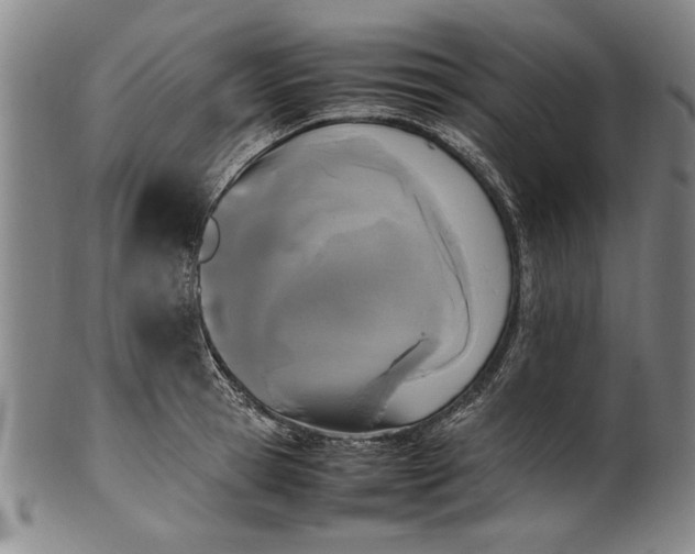 X0000102250945200808081408