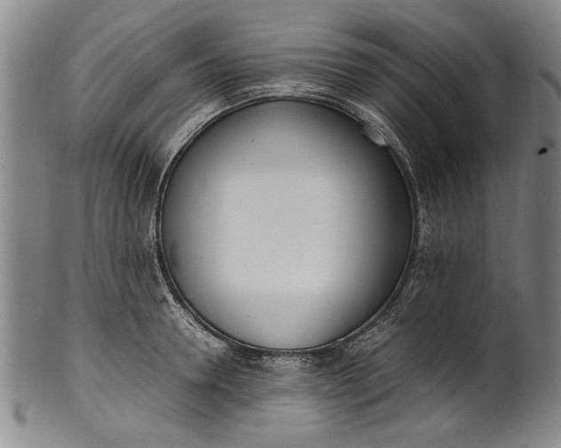 X0000102250946200808081408