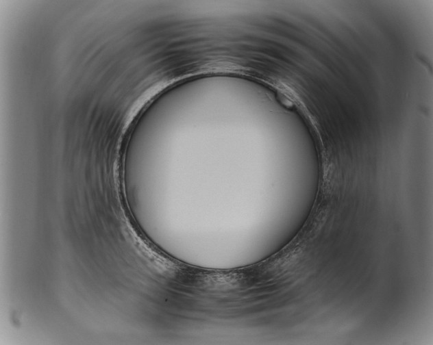 X0000102250947200808081408