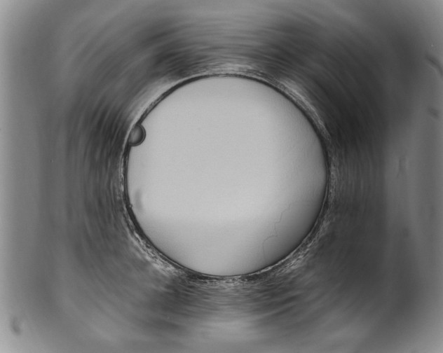 X0000102250948200808081408