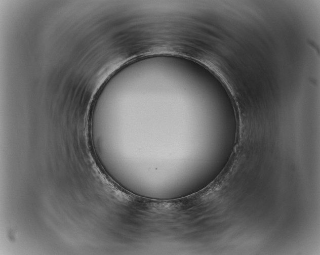 X0000102250949200808081408