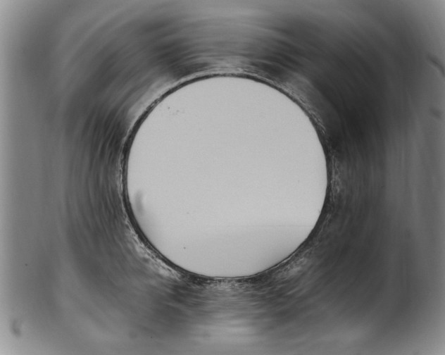 X0000102250950200808081408