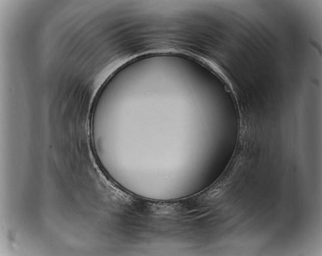 X0000102250951200808081408