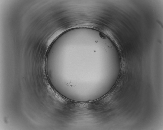 X0000102250952200808081408