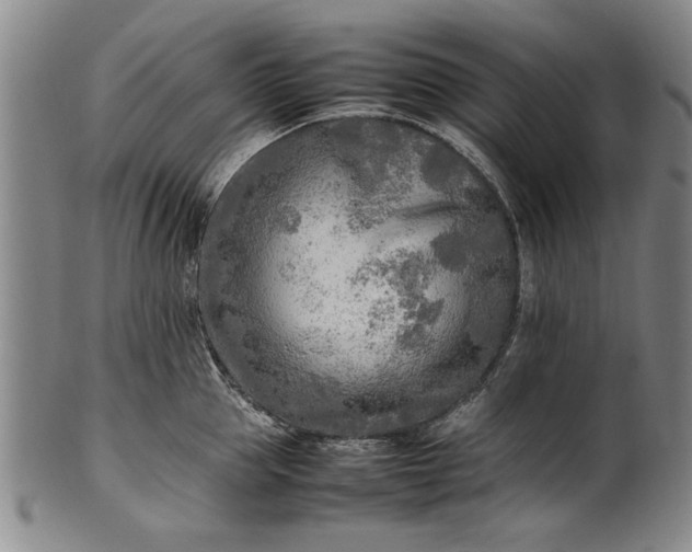 X0000102250953200808081408