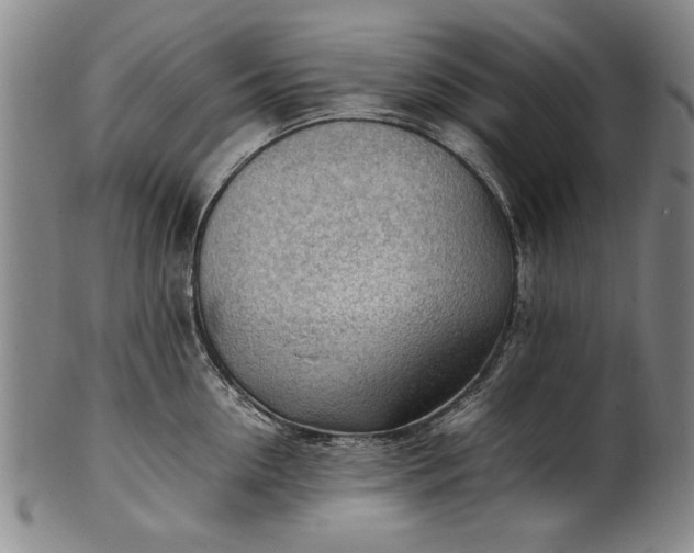 X0000102250954200808081408