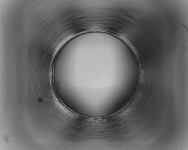 X0000102250955200808081408