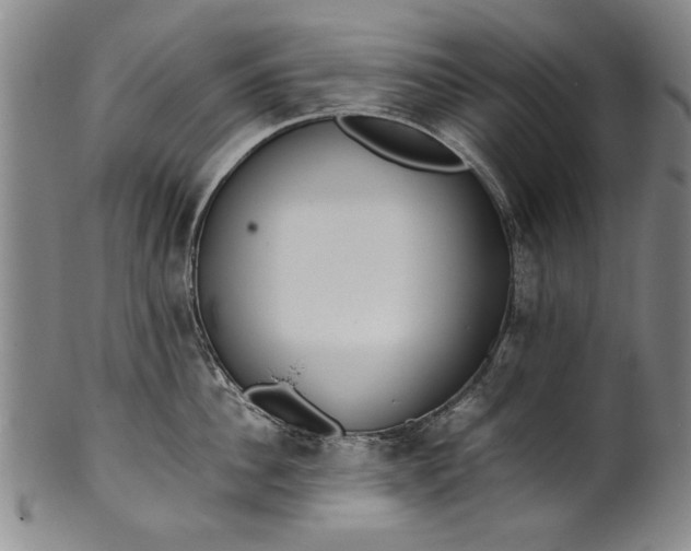 X0000102250956200808081408