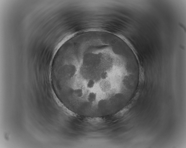 X0000102250957200808081408