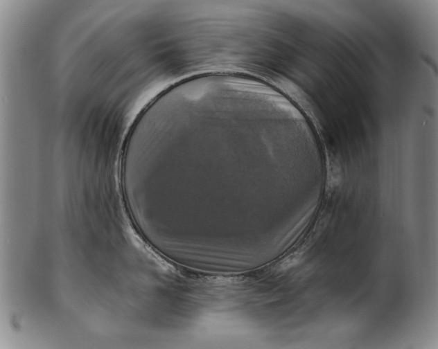 X0000102250958200808081408