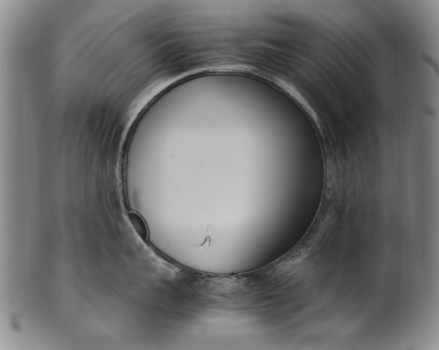 X0000102250959200808081408