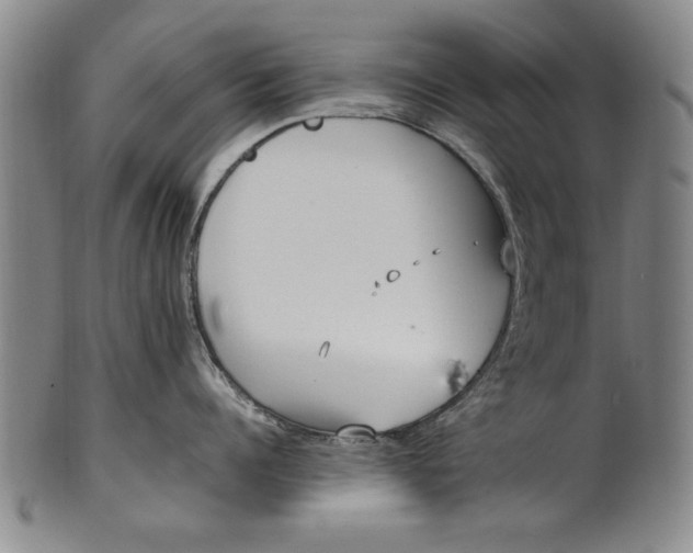 X0000102250960200808081408