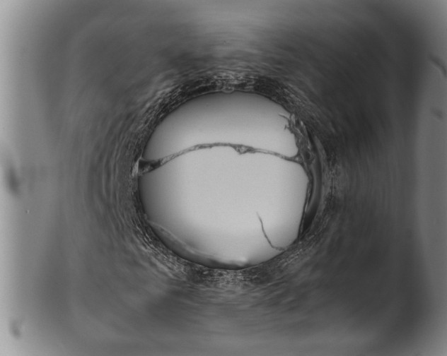 X0000102250961200808081407