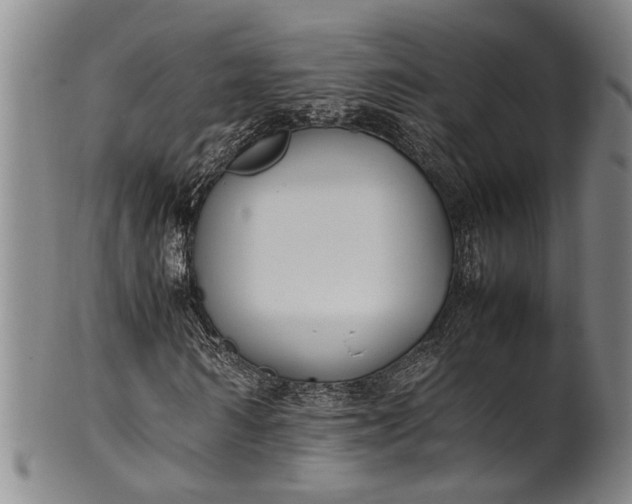 X0000102250962200808081407