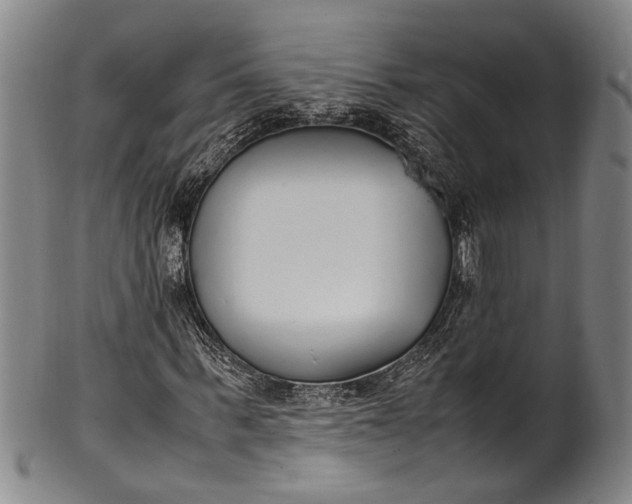 X0000102250963200808081407