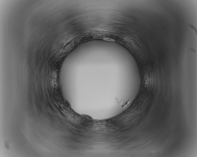 X0000102250964200808081407