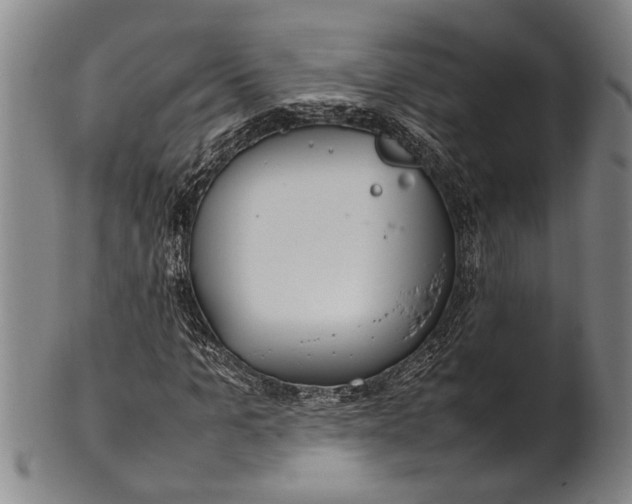 X0000102250965200808081407