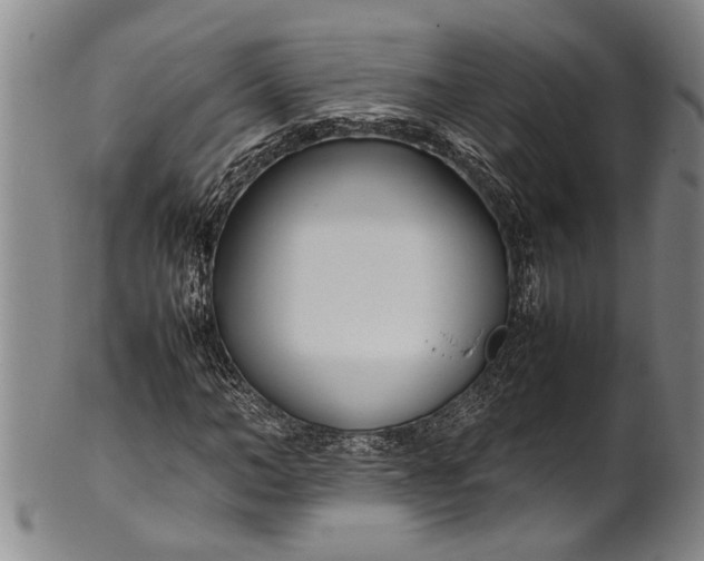 X0000102250966200808081407