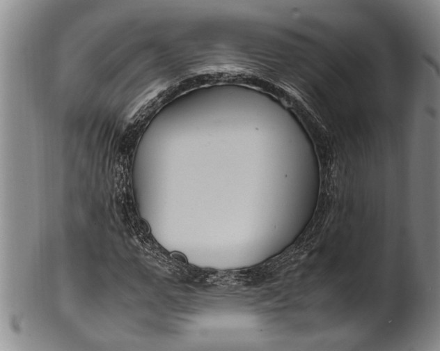 X0000102250967200808081407