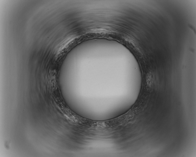 X0000102250968200808081407