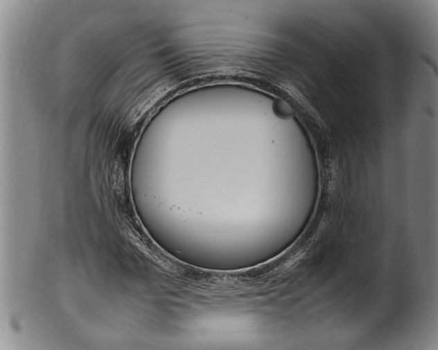 X0000102250969200808081407