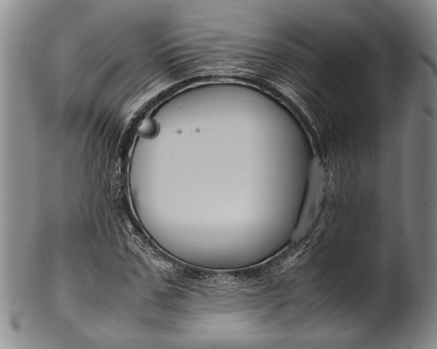 X0000102250971200808081407