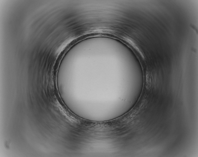 X0000102250972200808081407