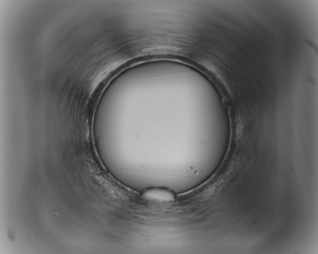 X0000102250973200808081407