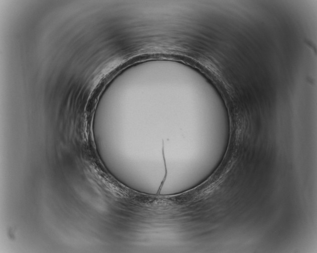 X0000102250974200808081407