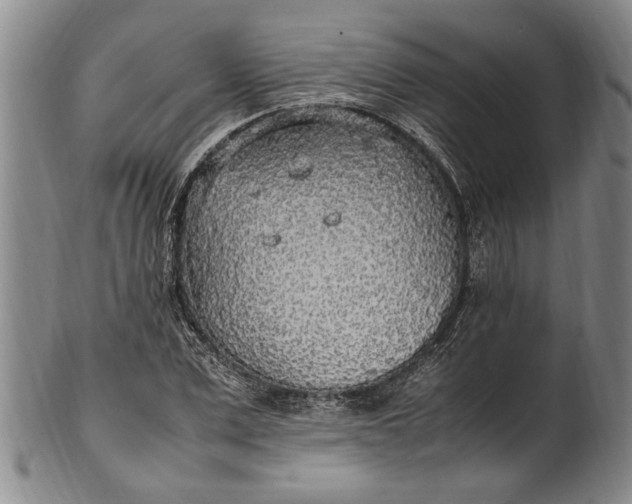 X0000102250975200808081407