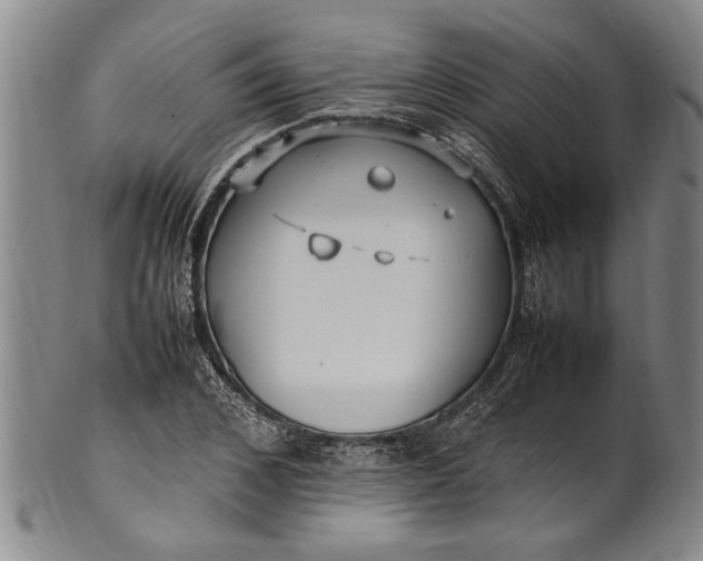 X0000102250976200808081407