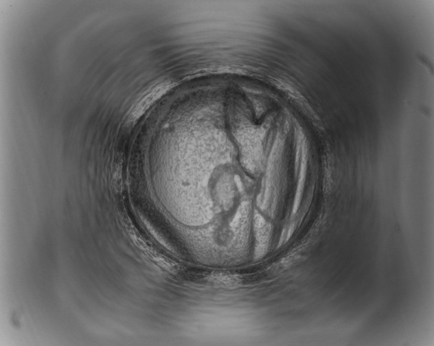 X0000102250977200808081407