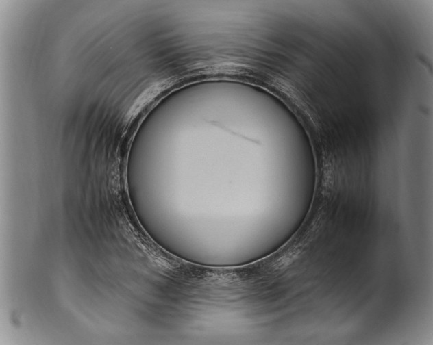 X0000102250978200808081407